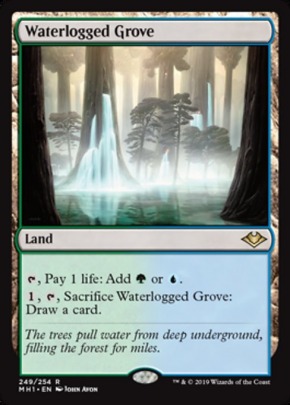 Waterlogged Grove Waterlogged Grove