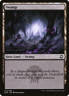 Swamp Swamp