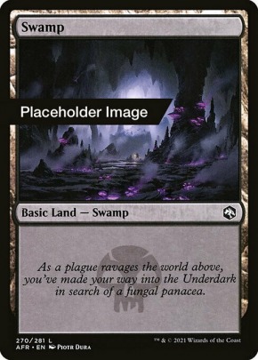 Swamp Swamp