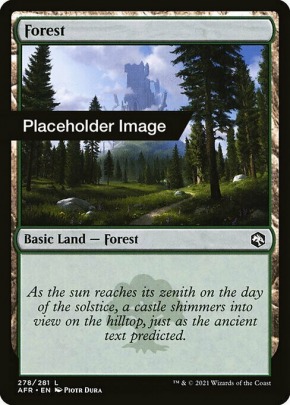 Forest Forest