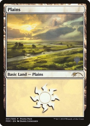 Plains Plains