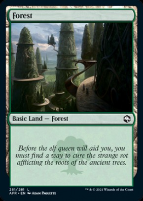 Forest Forest