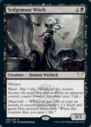 Sedgemoor Witch Sedgemoor Witch