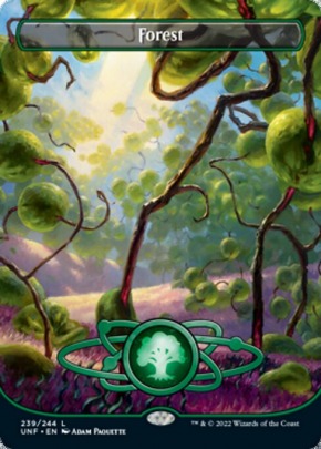Forest Forest