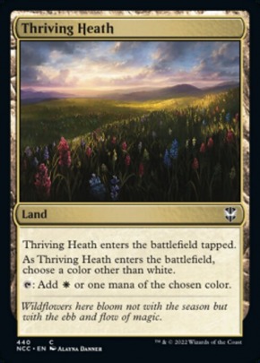 Thriving Heath Thriving Heath