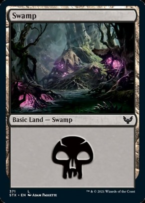 Swamp Swamp