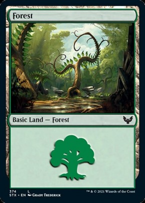 Forest Forest