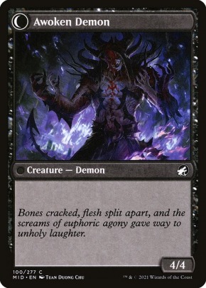 Awoken Demon Awoken Demon
