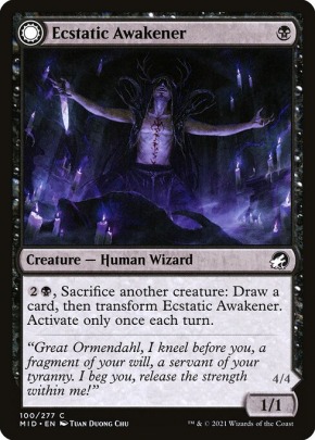 Ecstatic Awakener Ecstatic Awakener
