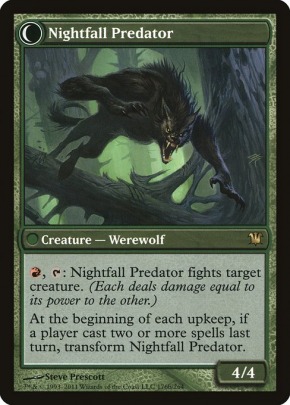 Nightfall Predator Nightfall Predator