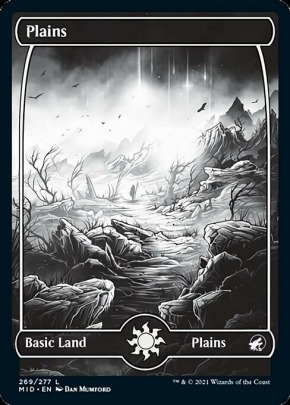 Plains Plains