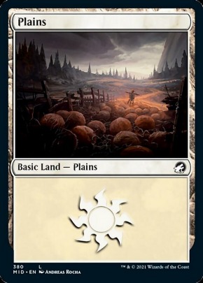 Plains Plains
