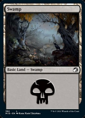 Swamp Swamp