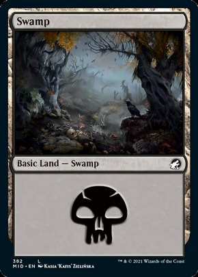 Swamp