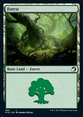 Forest Forest