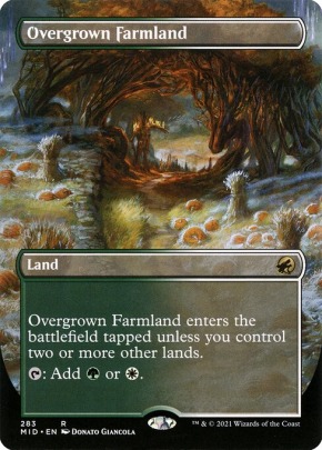 Overgrown Farmland