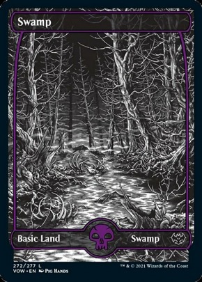 Swamp Swamp