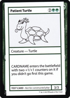 Patient Turtle Patient Turtle