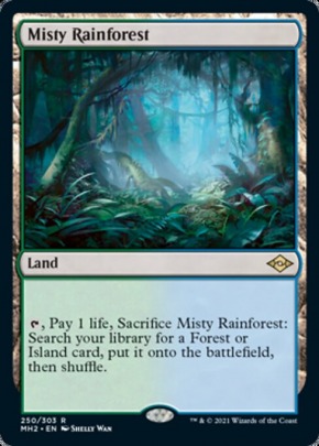 Misty Rainforest Misty Rainforest