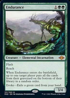 Endurance Endurance