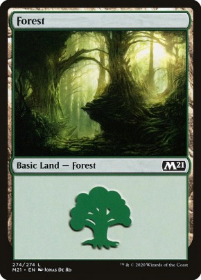 Forest Forest