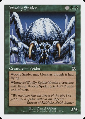 Woolly Spider Woolly Spider