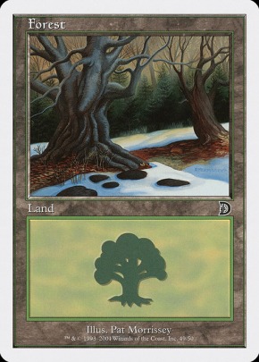 Forest Forest