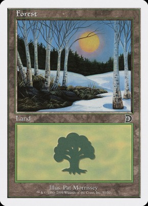 Forest Forest