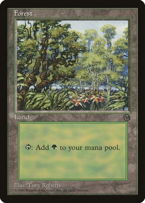 Forest Forest