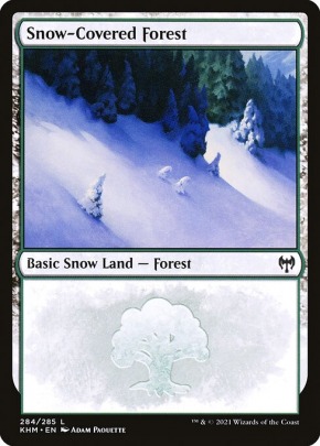 Snow-Covered Forest