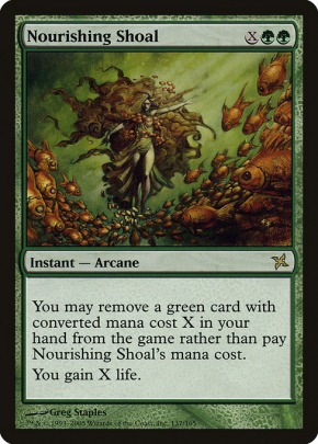 Nourishing Shoal Nourishing Shoal