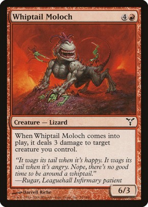 Whiptail Moloch Whiptail Moloch