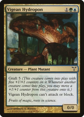 Vigean Hydropon Vigean Hydropon