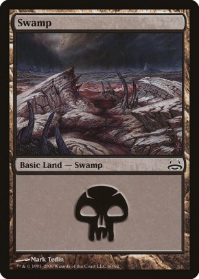 Swamp Swamp
