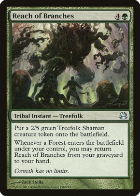 Reach of Branches Reach of Branches
