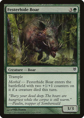 Festerhide Boar Festerhide Boar