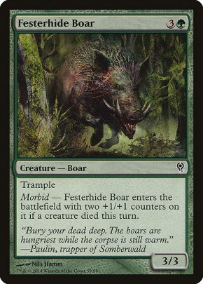 Festerhide Boar