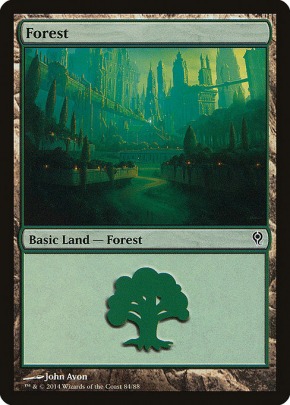 Forest Forest