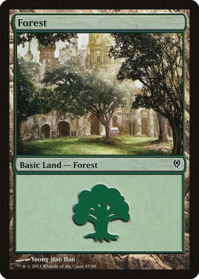 Forest Forest