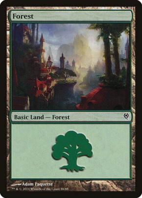 Forest Forest