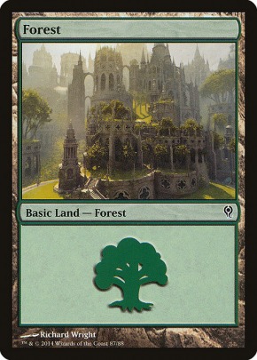 Forest Forest