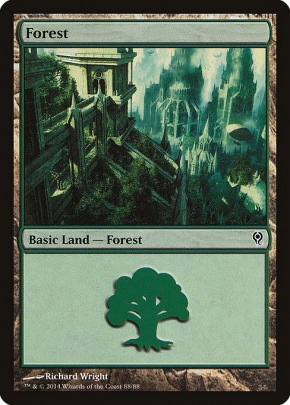Forest Forest
