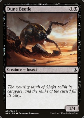 Dune Beetle Dune Beetle