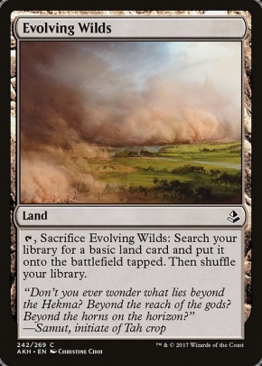 Evolving Wilds Evolving Wilds