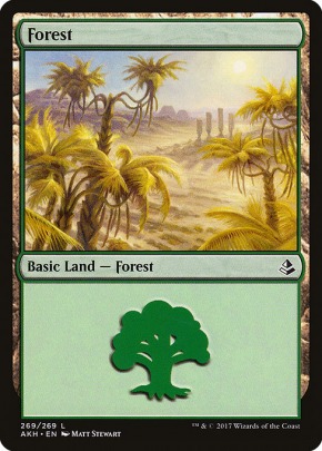 Forest Forest