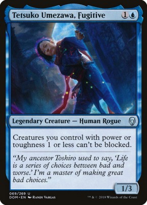 Tetsuko Umezawa, Fugitive Tetsuko Umezawa, Fugitive