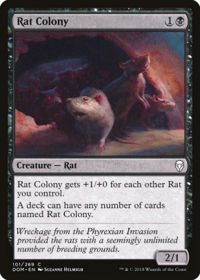Rat Colony Rat Colony