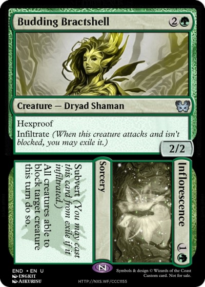 Budding Bractshell