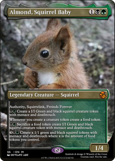 MTGNexus - Squirrel Stuff