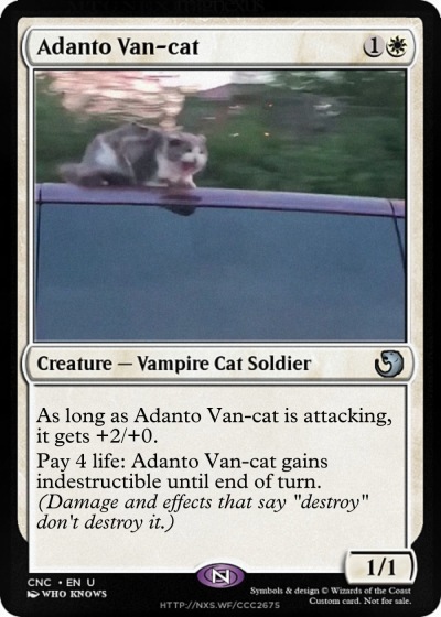Adanto Van-cat
